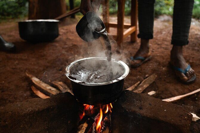 Private Materuni and Chemka Hotspring Tour - FAQs