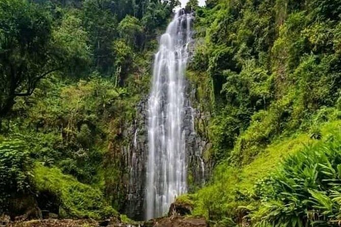 Private Materuni Waterfall & Coffee Tour. - The Itinerary: What You Can Expect