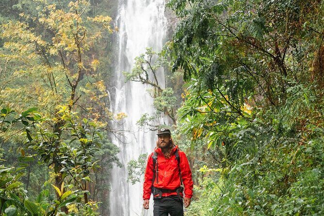 Private Materuni Waterfalls, Coffee Tour and Kikuletwa Hot Spring - Transportation, Timing, and Practicalities