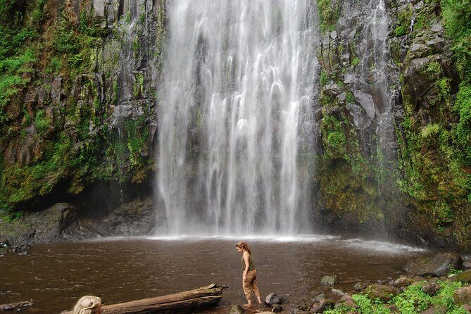 Private Materuni Waterfalls, Coffee Tour and Kikuletwa Hot Spring - Final Thoughts