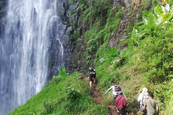 Private Materuni Waterfalls Hiking and Coffee Tour - Food and Refreshments