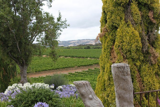 Private McLaren Vale Wine Region Tour from Adelaide - Wineries and Tastings