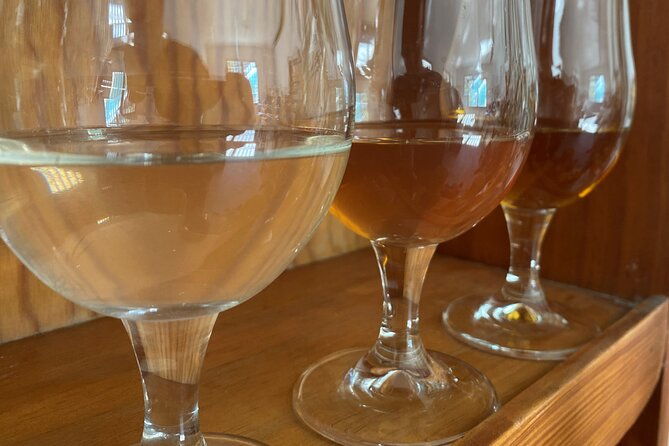 private-mead-taste-experience-in-lourdes