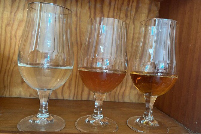 private-mead-taste-experience-in-lourdes