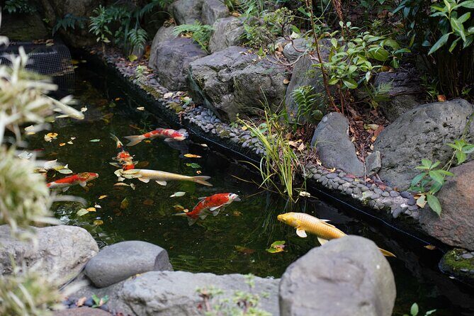 Private Meditation and Calligraphy with a Monk in Tokyo Temple - Practical Details and Experience Considerations