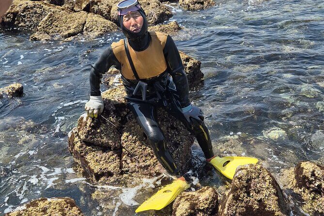Private Meeting with a Haenyeo: Jeju Shore Excursion - An In-Depth Look at the Tour Experience