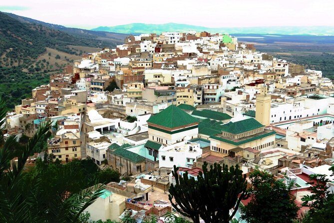 Private Meknes Volubilis -Mouly Idriss day trip from Fez - Authentic Experiences and Tips