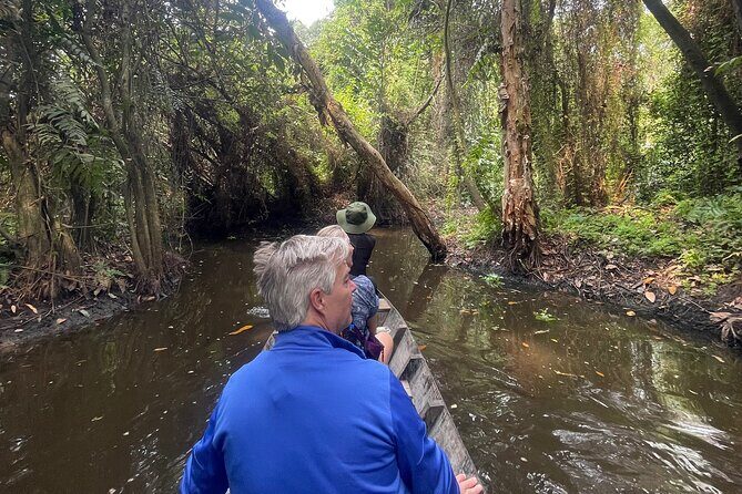 Private Mekong Delta Tour: Cai Be Village and Cajuput Forest - Key Points