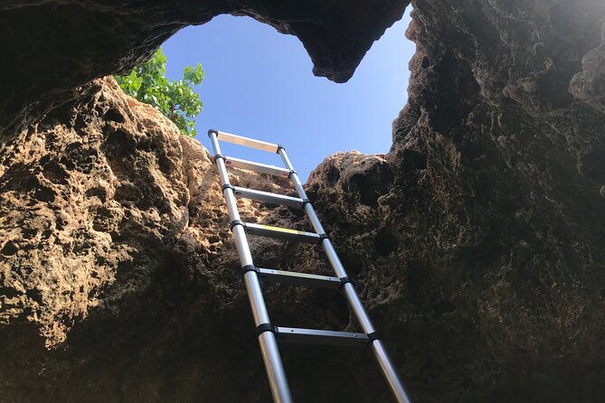 private-mermaid-caves-and-west-oahu-with-kaena-point-hike-se-habla-espanol