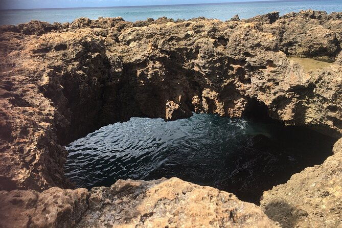 private-mermaid-caves-and-west-oahu-with-kaena-point-hike-se-habla-espanol