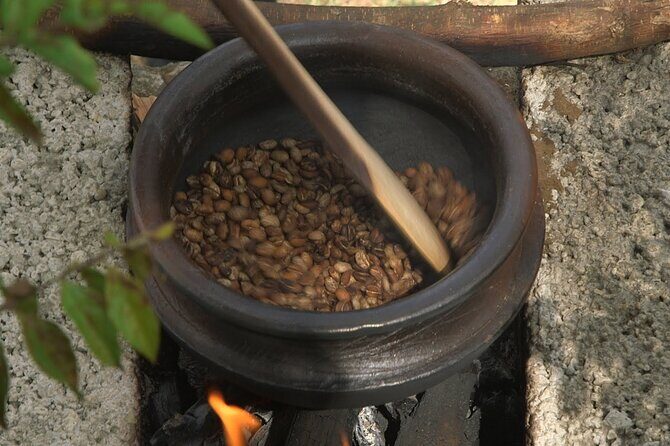 Private Meru Coffee Tour in Nkoaranga - Final Thoughts