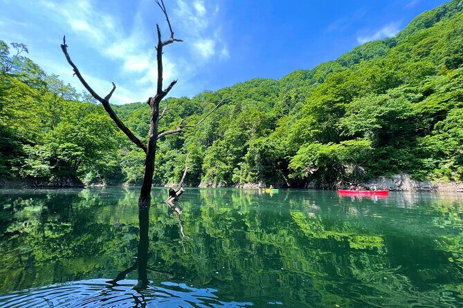 Private Mifuchi Gorge Canoe Tour - The Sum Up