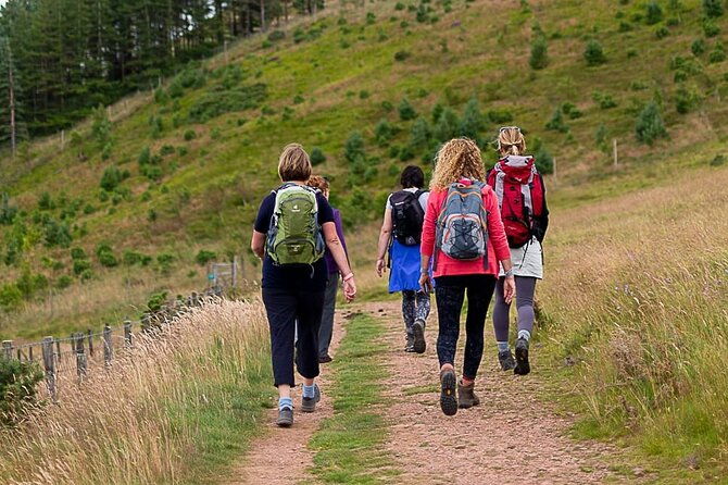 private-mindfulness-and-nature-walk-in-edinburgh