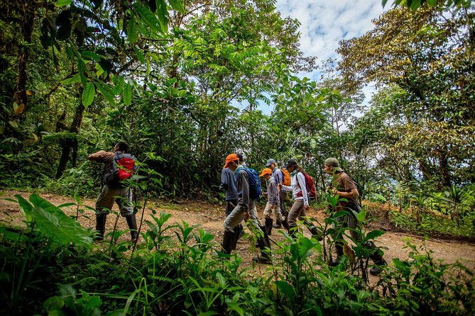 private-mindo-cloud-forest-tour-from-quito