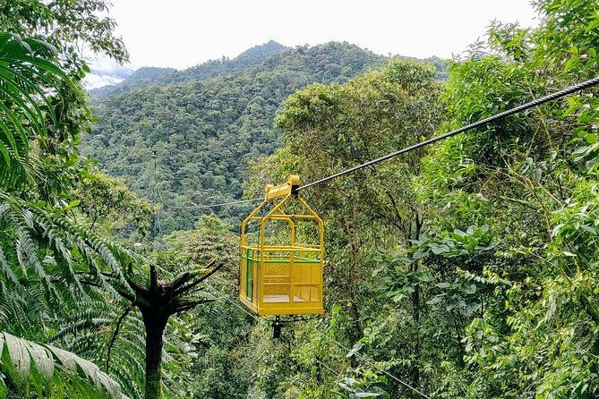 private-mindo-cloud-forest-tour-from-quito