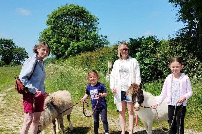 private-miniature-horse-walking-near-lincoln