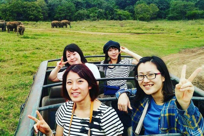 Private Minneriya National Park Safari and Fireflies Lighting Tour - Key Points