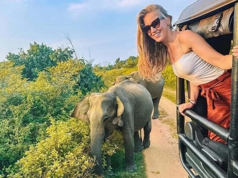 Private Minneriya Safari & Nature Experience from Sigiriya - Key Points