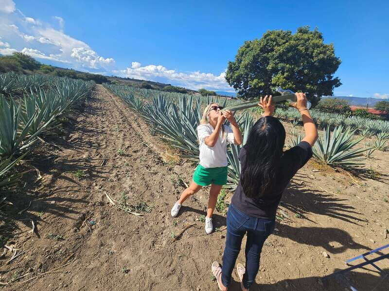 Private Mitla, Hierve el agua and Mezcal Tour with Lunch - The Itinerary Breakdown