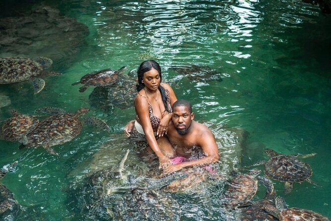 Private Mnemba Island and Turtle Aquarium Tour - Authentic Experiences Highlighted by Reviewers