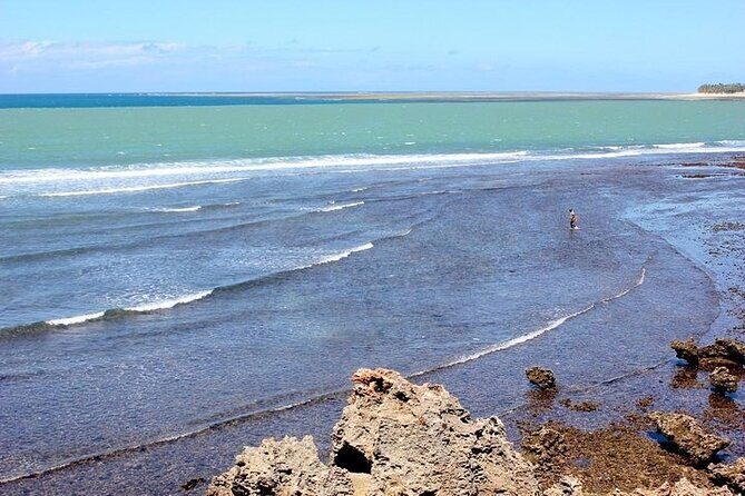 PRIVATE: MOMBASA FULL DAY TOUR and EXCURSUION - Introduction to the Tour