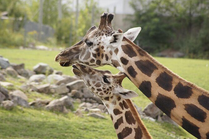 PRIVATE: MOMBASA FULL DAY TOUR and EXCURSUION - The Sum Up: Who Should Book This Tour?