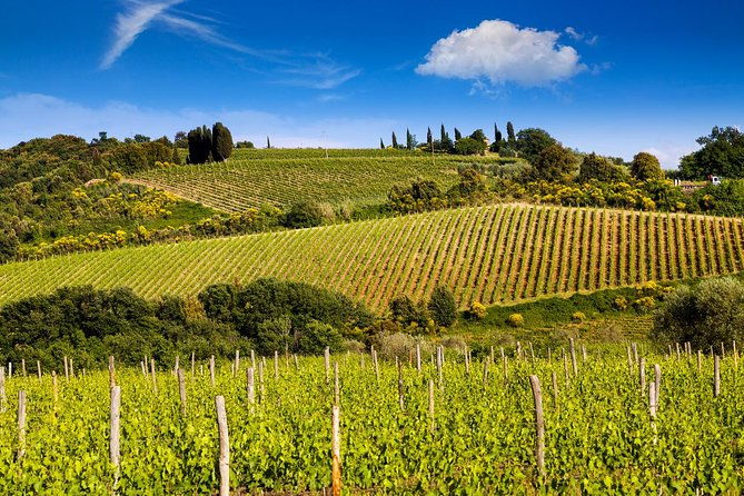 private-montalcino-and-pienza-tour-from-siena