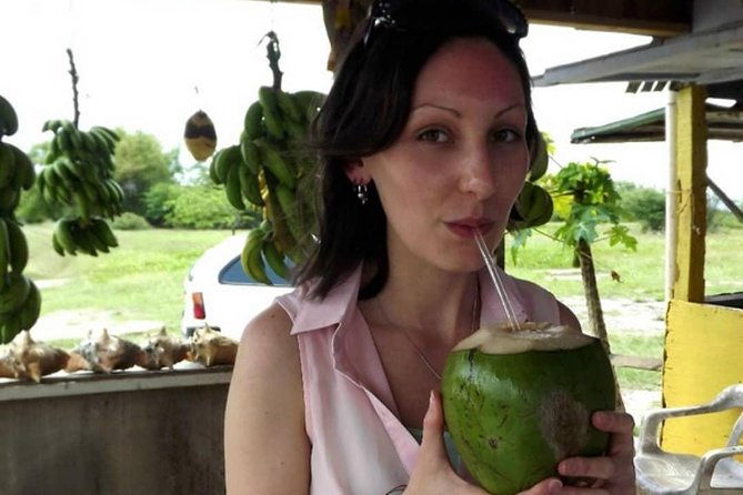 private-montego-bay-highlights-tour