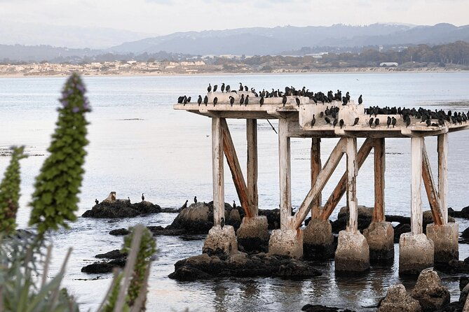 private-monterey-carmel-and-17-mile-drive-day-trip-from-san-francisco