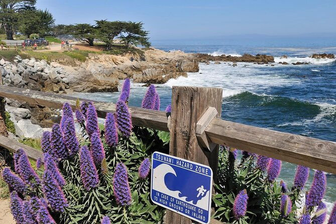 private-monterey-carmel-and-17-mile-drive-day-trip-from-san-francisco