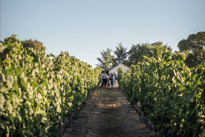 private-montevideo-wine-tasting-for-cruise-passengers