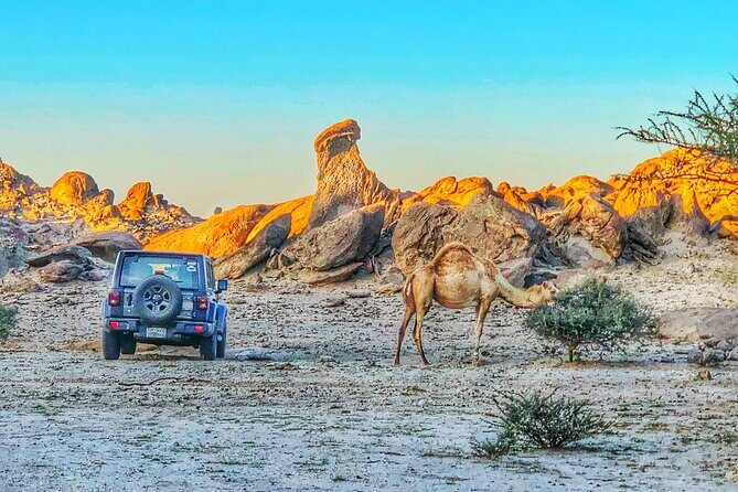 Private Moon Valley Hike Experience in Jeddah - Key Points
