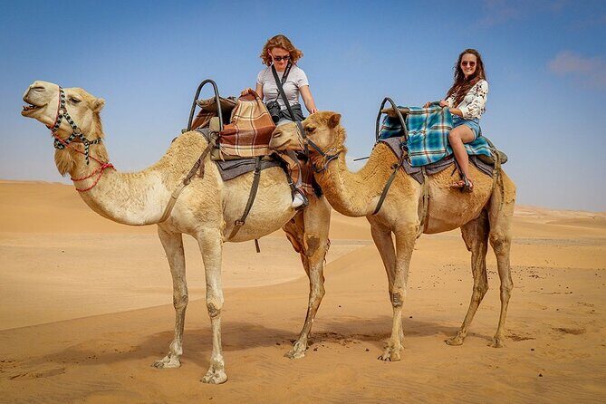 Private Morning Desert Adventure: Sandboarding & Camel Ride - A Detailed Look at the Private Morning Desert Tour