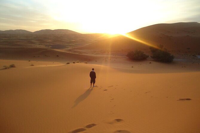 Private Morning Desert Adventure: Sandboarding & Camel Ride - The Sum Up