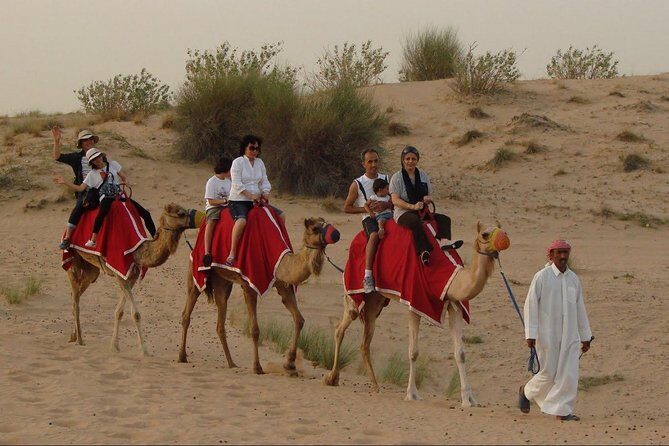 Private Morning Desert Dune Bashing, Sandboardin, Camel Riding - What Makes This Tour Stand Out