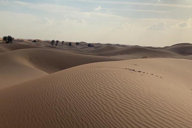 Private Morning Desert Safari Adventures with ATV Quad Bike and Camel Rides - FAQ