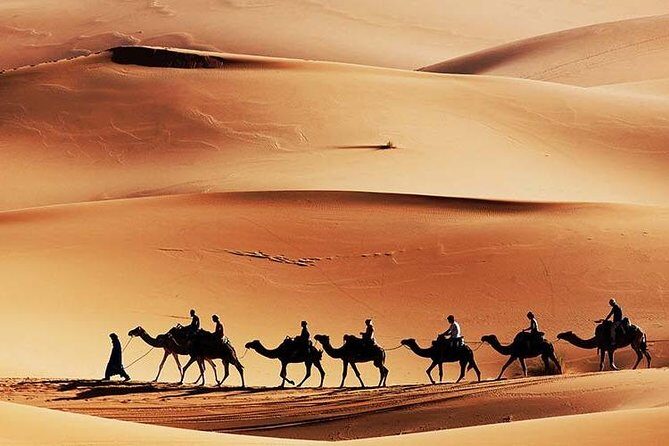 Private Morning Desert Safari - Why Choose the Private Morning Desert Safari?
