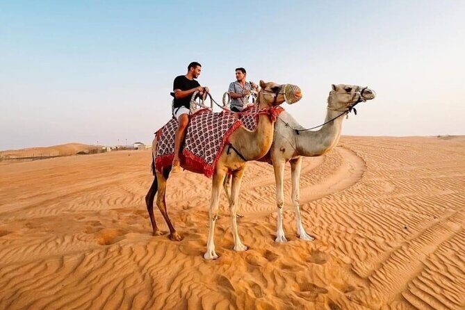 Private Morning Desert Safari Dune Bashing and Short Camel Ride - Who Is This Tour Best For?