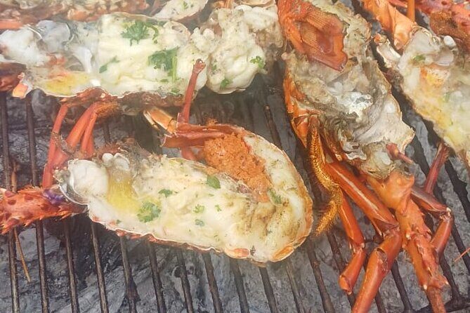Private Morning Dolphin Watching Snorkeling and Seafood BBQ - The Sum Up