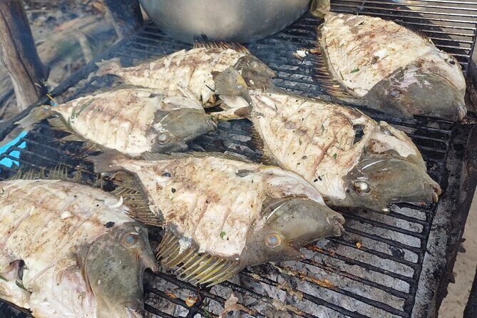 Private Morning Dolphin Watching Snorkeling and Seafood BBQ - FAQ