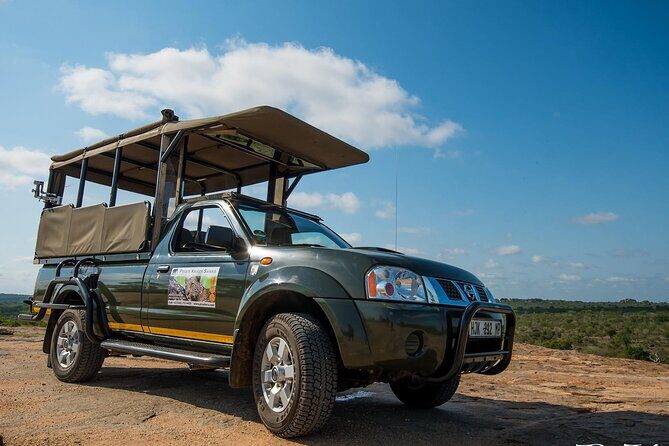Private Morning Game Drive from Hazyview l Kruger National Park - Key Points