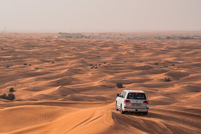 Private Morning Safari with Camel Ride and Sand boarding - Key Points