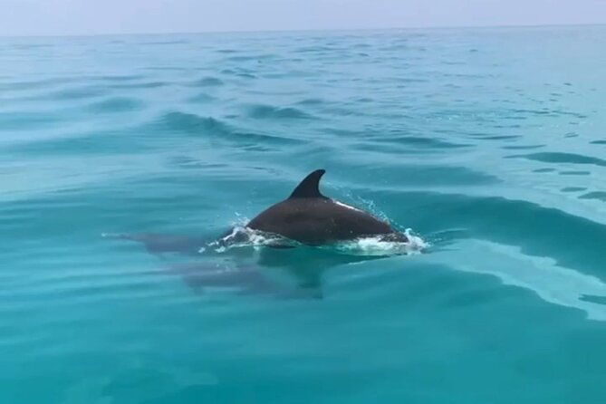 private-morning-tiki-boat-eco-cruise-in-key-west