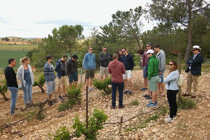 private-morning-wine-tour-from-valencia