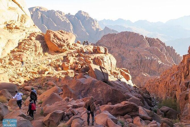 Private Moses Mount and St Catherines Monastery Sharm El Sheikh - Who Is This Tour Best For?