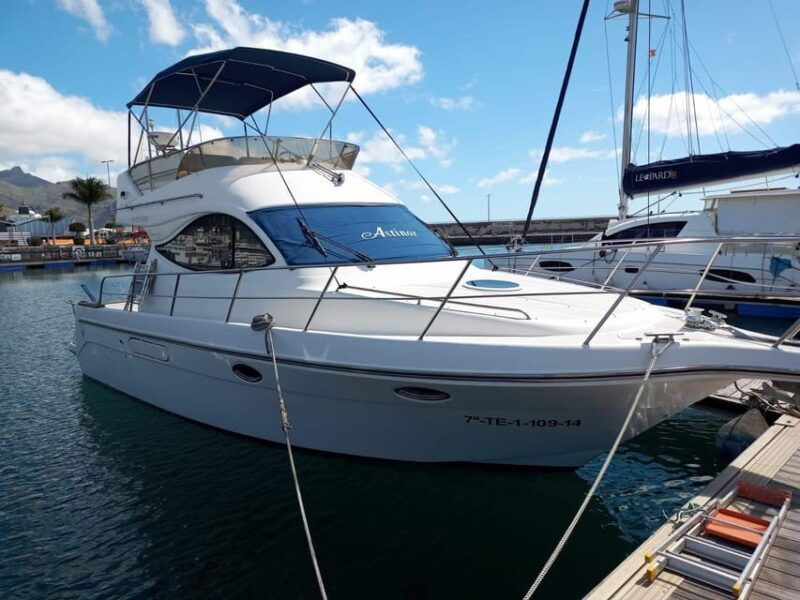 private-motorboats-for-up-22-passengers