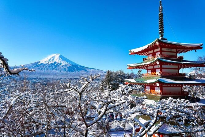 private-mount-fuji-and-hakone-one-day-tour