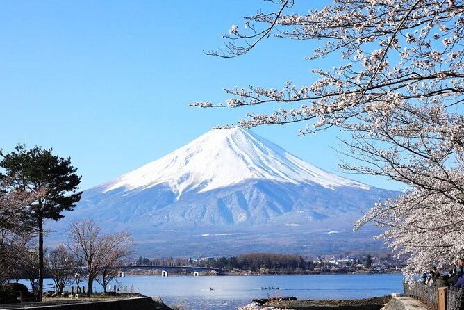 private-mount-fuji-and-hakone-one-day-tour