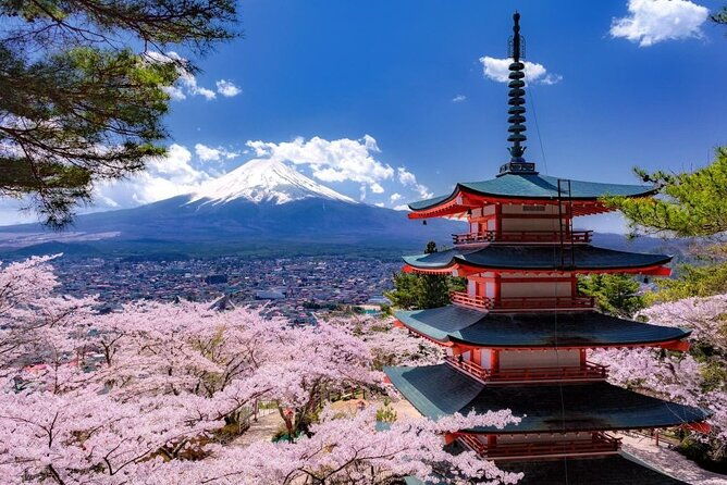 private-mount-fuji-and-hakone-one-day-tour