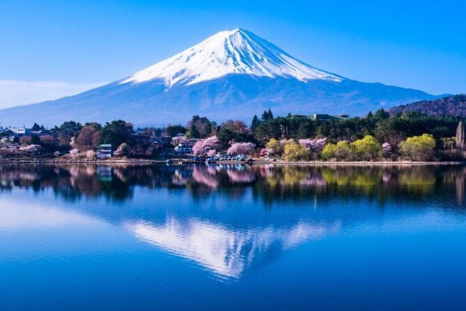 private-mount-fuji-and-hakone-one-day-tour